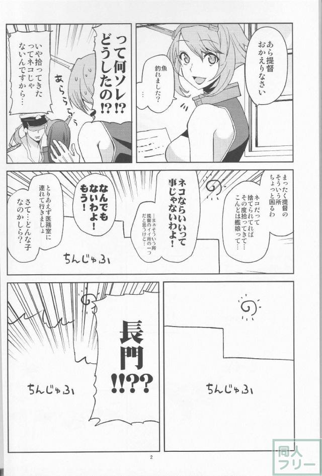 巨女長門さんとムキムキな提督のなんだかよく分からないギャグ本 <> 003