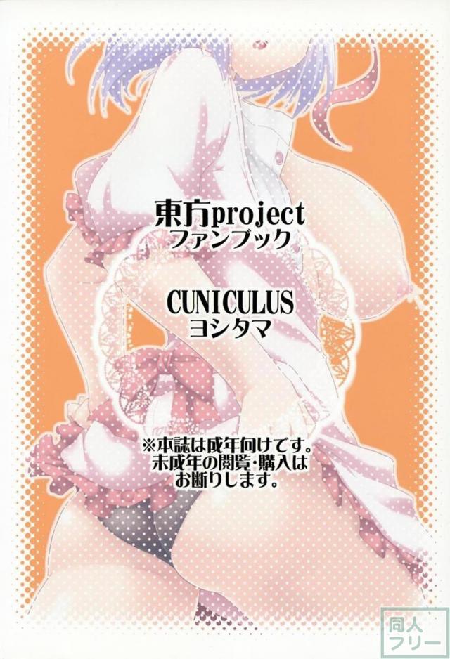 出産を終えた衣玖さんといつも通りイチャイチャする本 <> 025