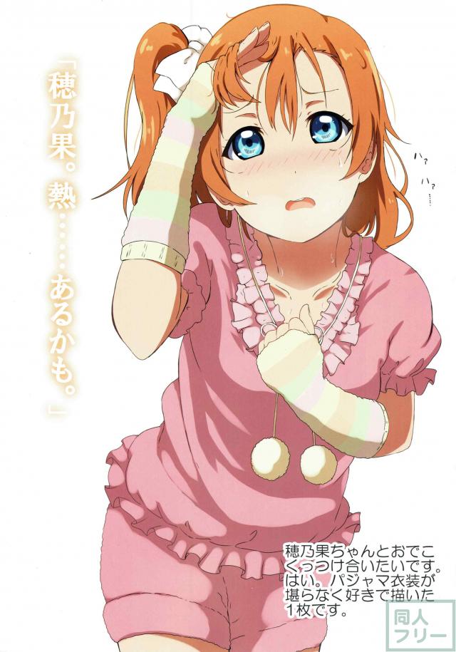 穂乃果ちゃんとの冬休みを主観でフルカラー <> 026