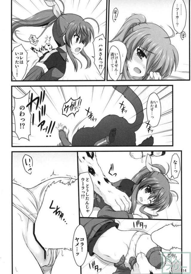 アインハルトとフーカの獣姦SEX！ <> 013