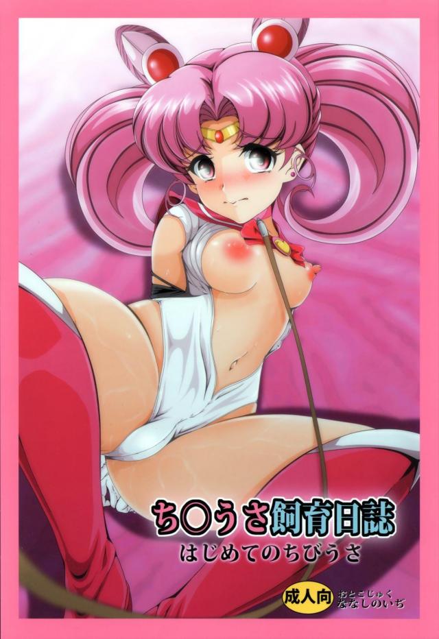 ご主人様に調教されちゃうちびうさを読者目線で堪能できる背徳の一冊 <> 1
