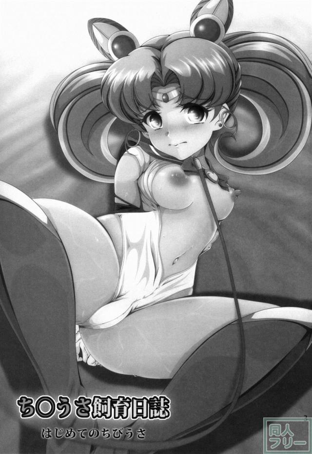 ご主人様に調教されちゃうちびうさを読者目線で堪能できる背徳の一冊 <> 002