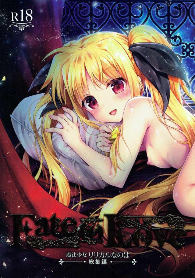 フェイトちゃん本5本を収録した総集編！ <> 1