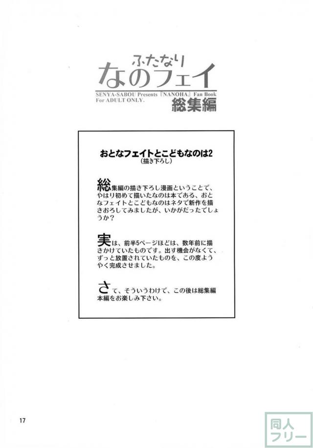 スク水日焼け跡JSなのは×巨根ふたなりフェイトさん、その他いろいろ総集本 <> 016