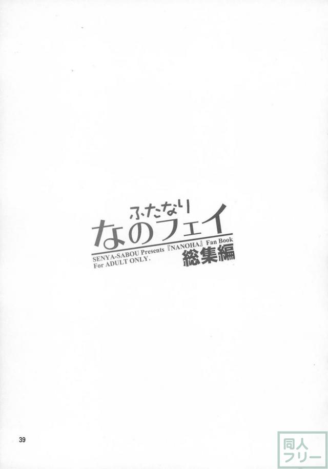 スク水日焼け跡JSなのは×巨根ふたなりフェイトさん、その他いろいろ総集本 <> 038