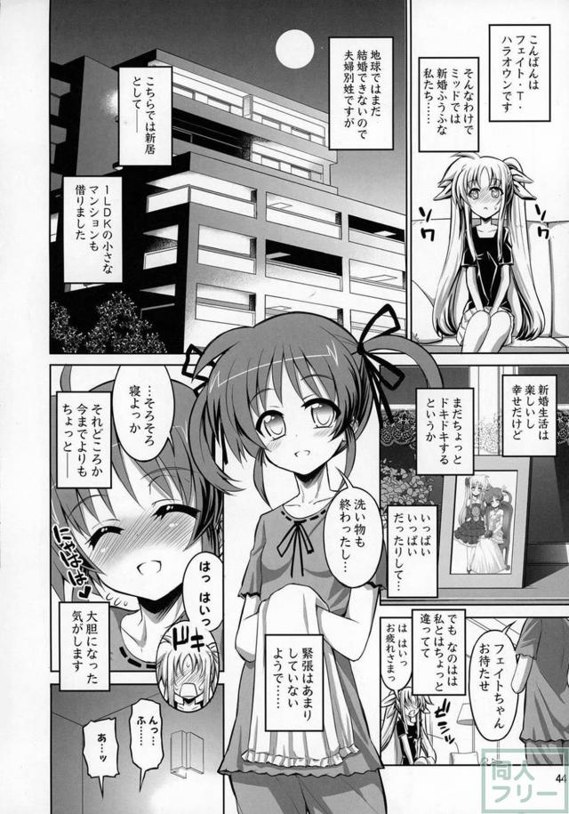 スク水日焼け跡JSなのは×巨根ふたなりフェイトさん、その他いろいろ総集本 <> 043