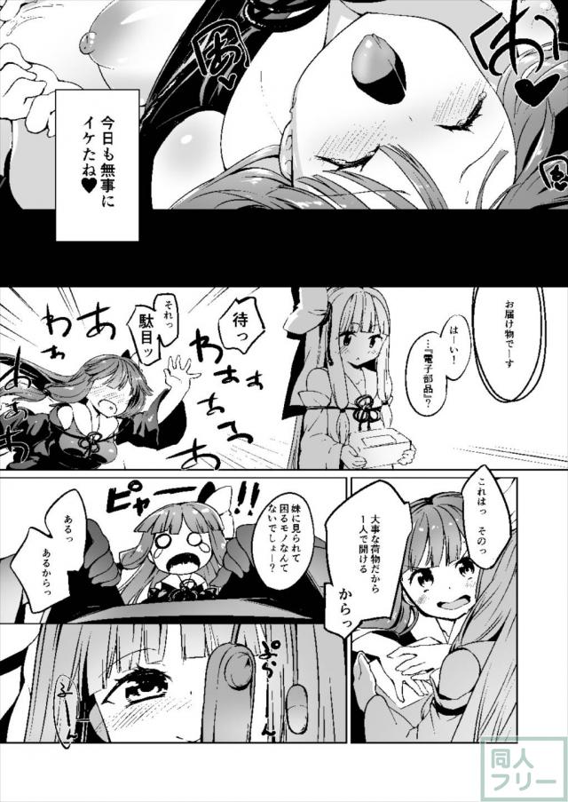 淫乱モードの琴葉姉妹と主観で姉妹丼 <> 010