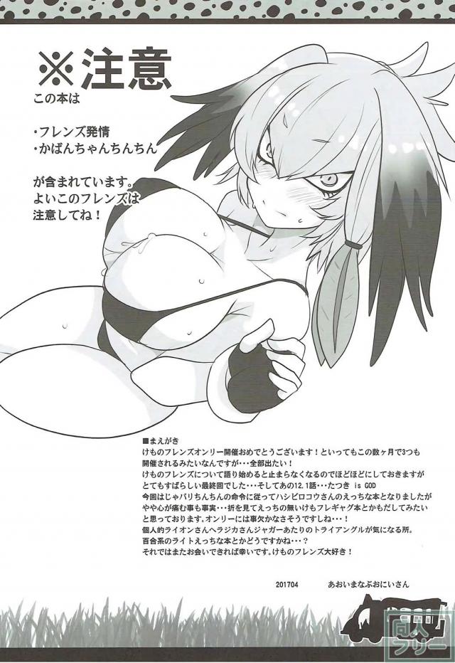 ハシビロちゃんのダイナマイトバディにかばんちゃんのちんちんが <> 003