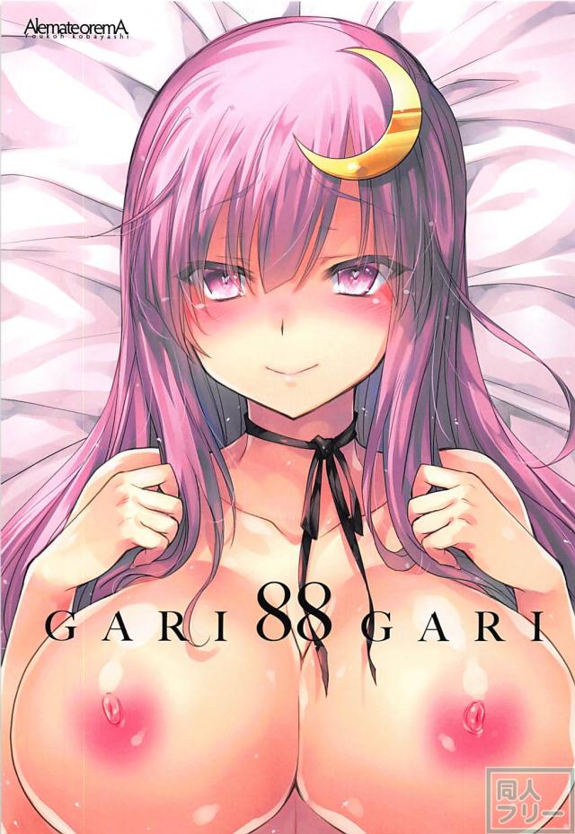ドスケベパチュリーはチンポ一本だけではもはや足りない！ <> 003