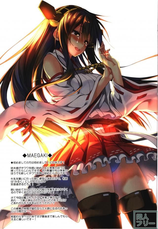 巧みな光の表現が印象深い艦娘たちの非エロイラスト集 <> 002