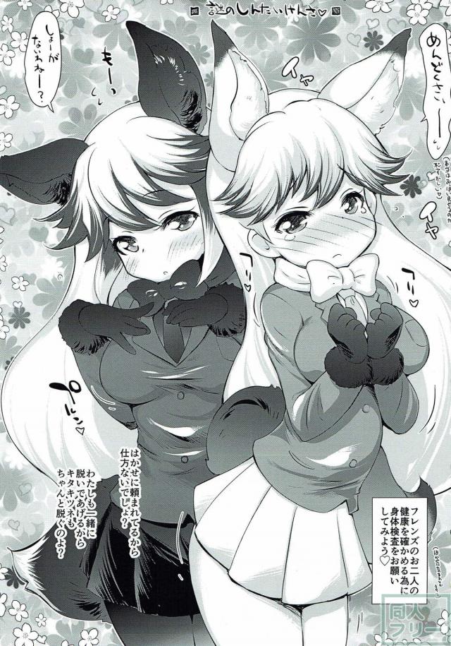 キタキツネ、ギンギツネと3P身体検査 <> 002