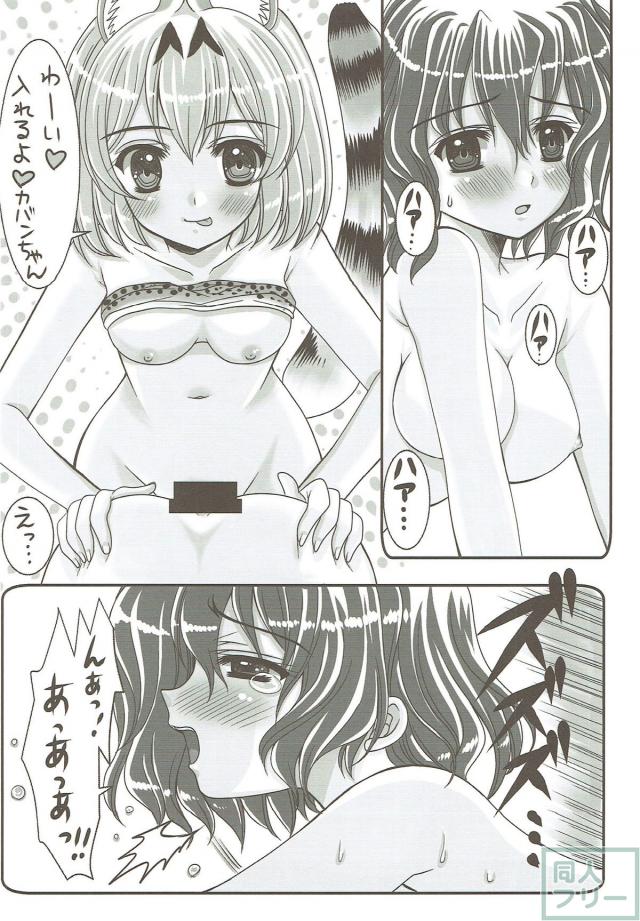 サーバルちゃんのふたなりチンポをかばんちゃん(メス)に <> 009