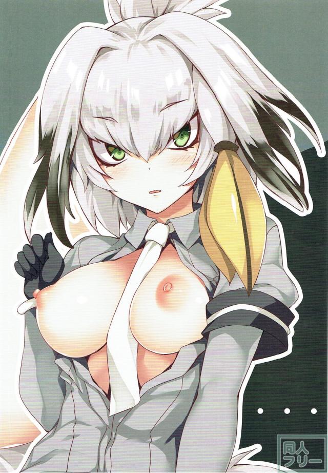 フレンズたち8人のフルカラーイラスト本 <> 009