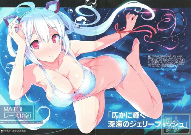 [美麗ふるーからー]PSO2下着イラスト本 <> 011