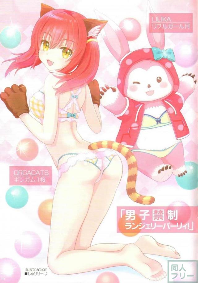 [美麗ふるーからー]PSO2下着イラスト本 <> 022