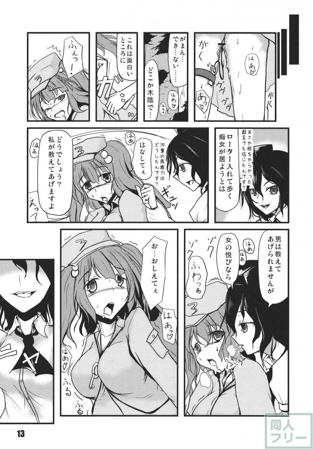 知ったかぶりするにとりの合同(10)本 <> 015