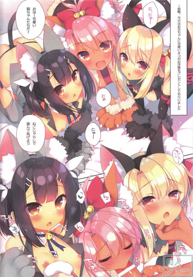6本入りのフルカラーイリヤ総集本 <> 076
