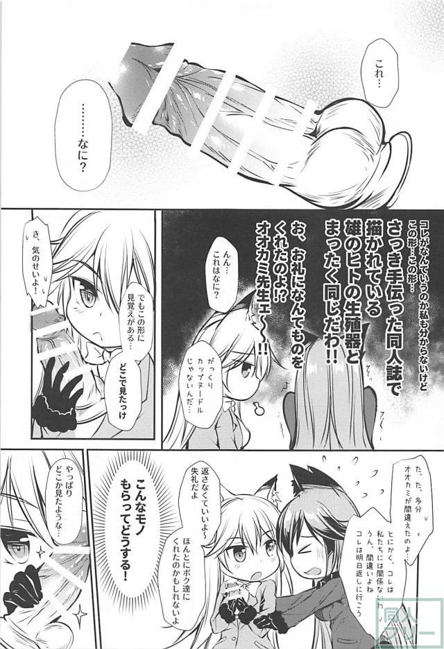 無知なキタキツネに振り回されるギンギツネ。それとディルド。 <> 007
