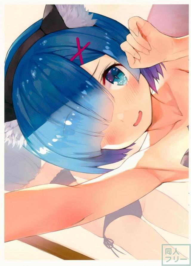 見えそうで見えないReゼロ美麗フルカラーイラスト集(微エロ) <> 009