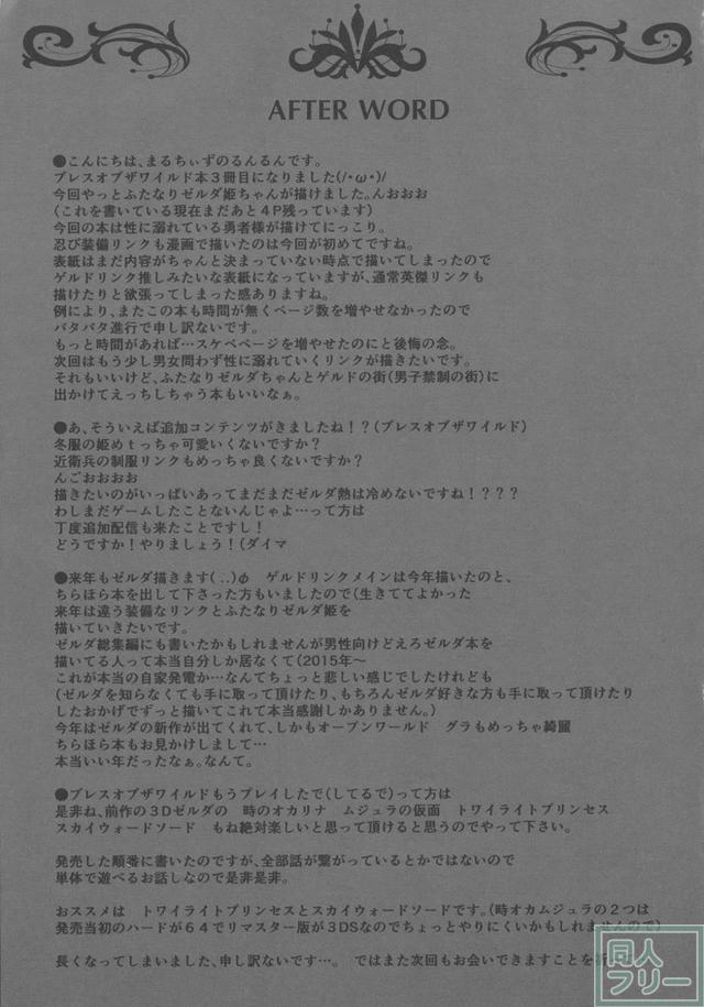 ふたなりゼルダ姫とリンクの逆アナルセックス！ <> 020