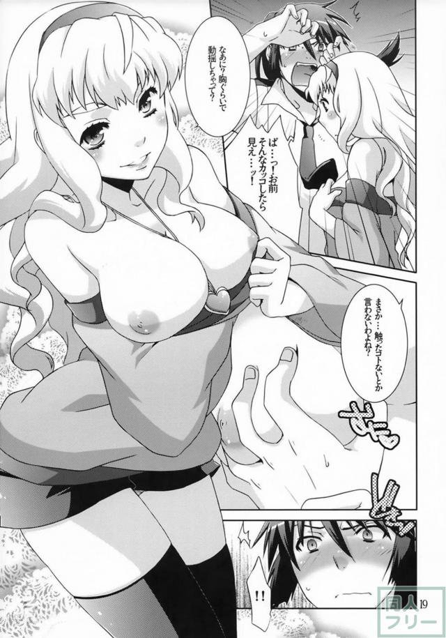 処女なシェリル・ランカそれぞれが初体験する本 <> 017