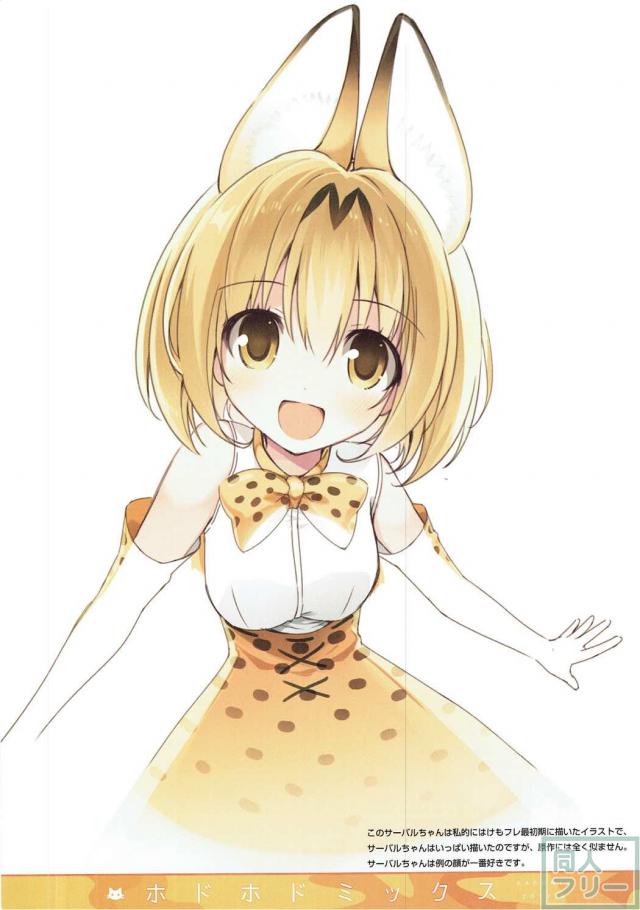 けもフレ多めで美麗フルカラーよろずイラスト集 <> 003
