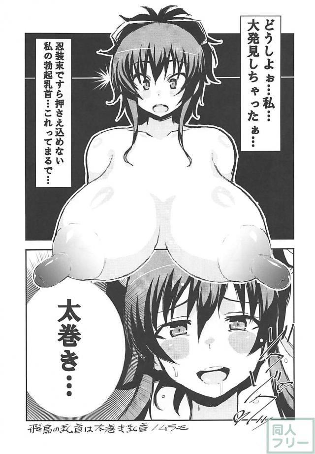 [閃乱カグラ合同誌]14本まとめ <> 020