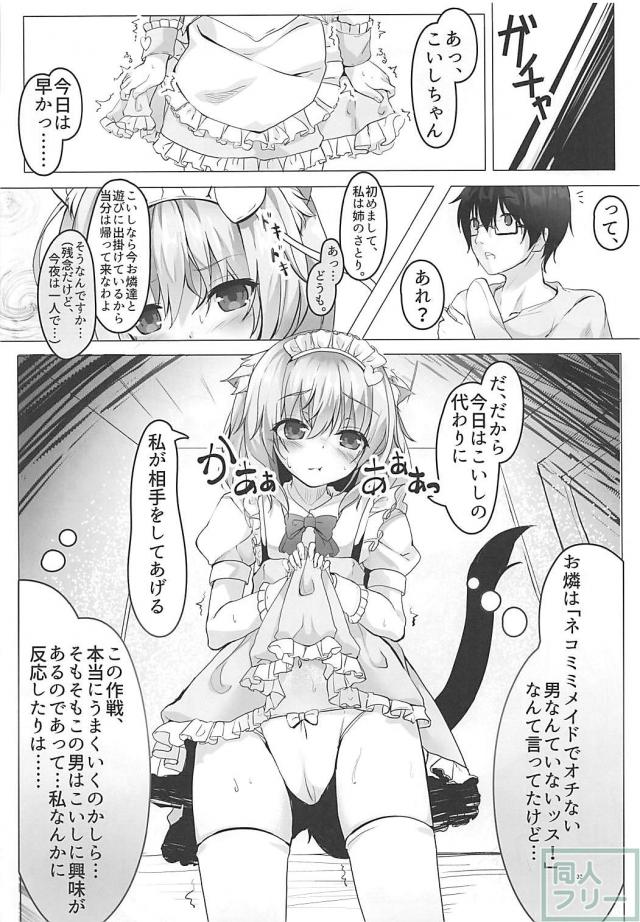 イチャラブも陵辱も、こいし多めの総集編 <> 030