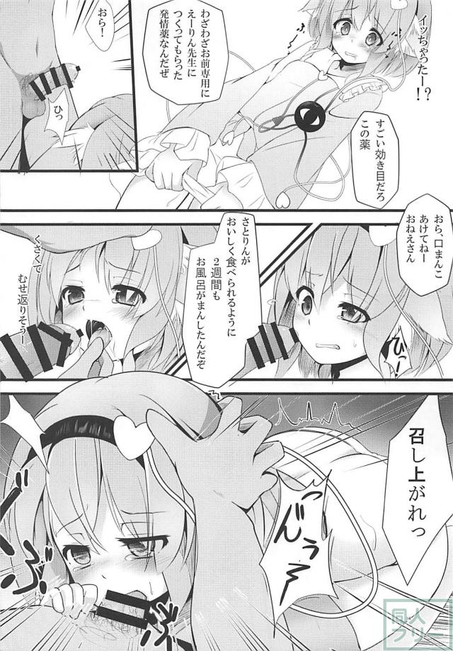 イチャラブも陵辱も、こいし多めの総集編 <> 092