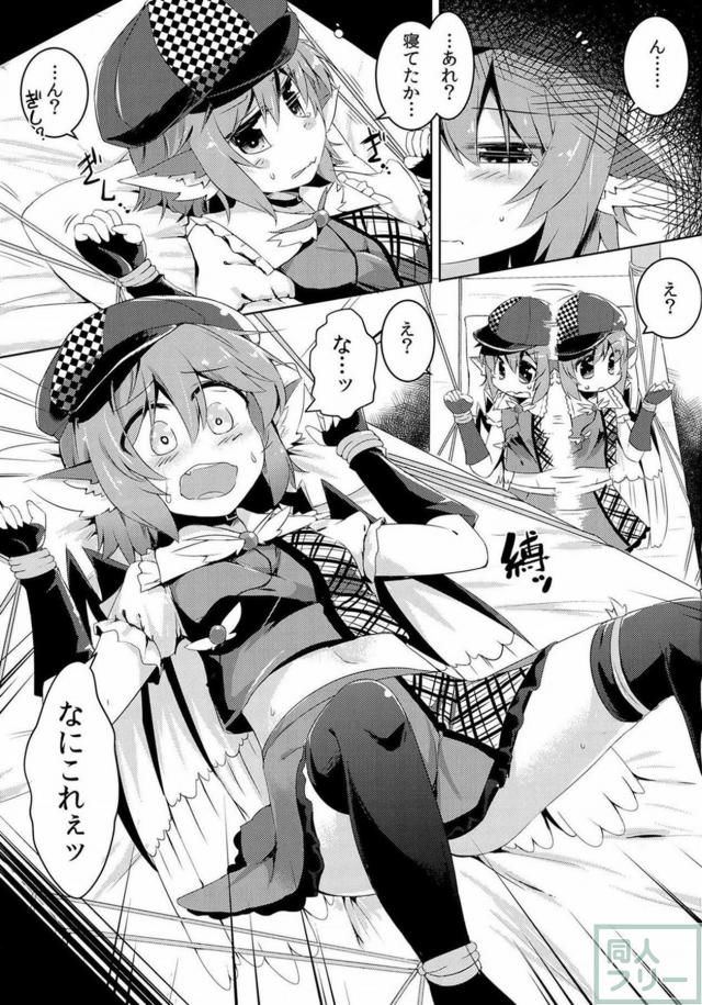 レイプ！アイドル・ミスティアの強制ファン感謝祭！ <> 002