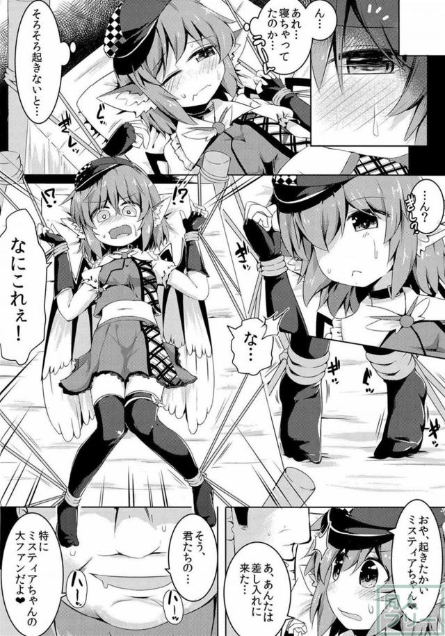レイプ！アイドル・ミスティアの強制ファン感謝祭！ <> 009