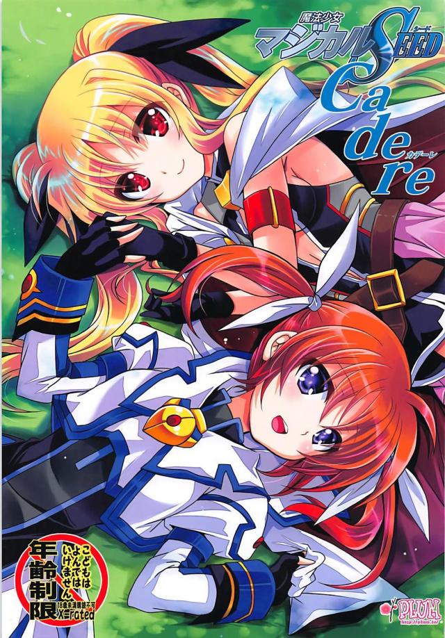 フェイトの更生プログラム <> 1