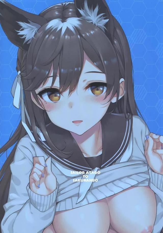 童貞ショタ指揮官がセーラー服着た獣耳お姉さんで夢の筆下ろし。 <> 029