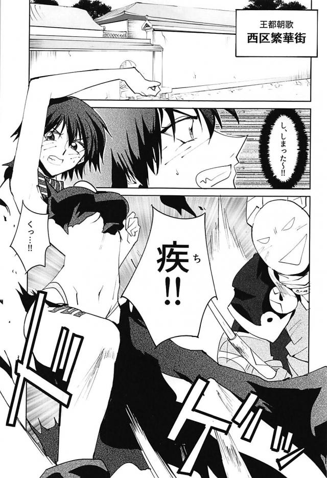 珍しい琵琶 <> 002