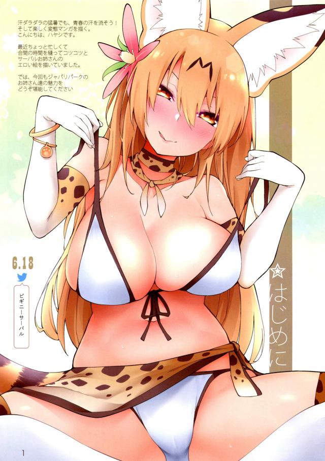 ケモミミ姉さんの日常[美麗フルカラー] <> 002