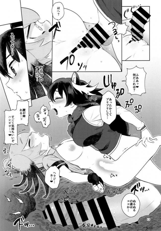 無知なケモ娘ふたりがはじめてのふたなりセックスで性の快楽を知る <> 012