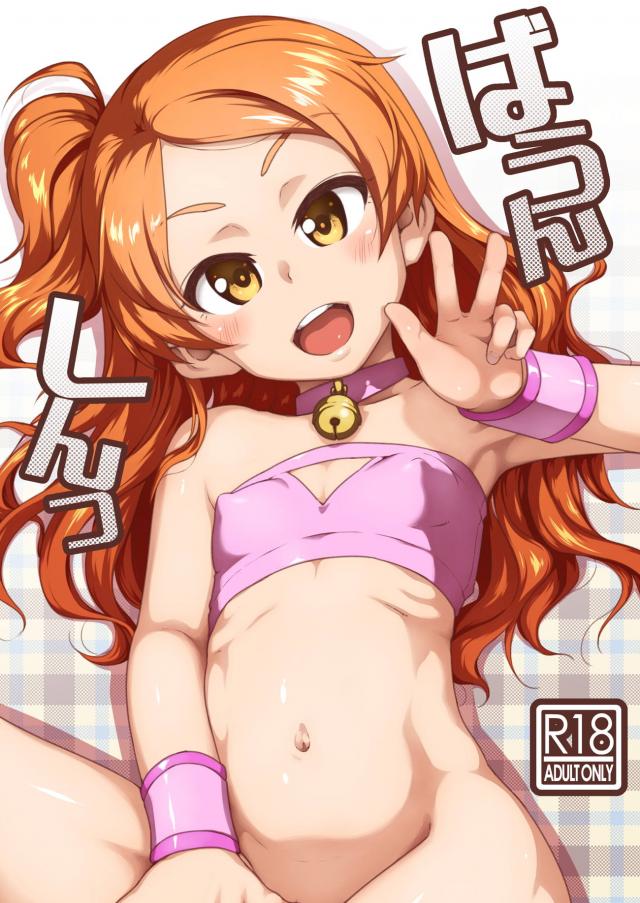 JS処女アイドルとおやぶんの初交尾 <> 1