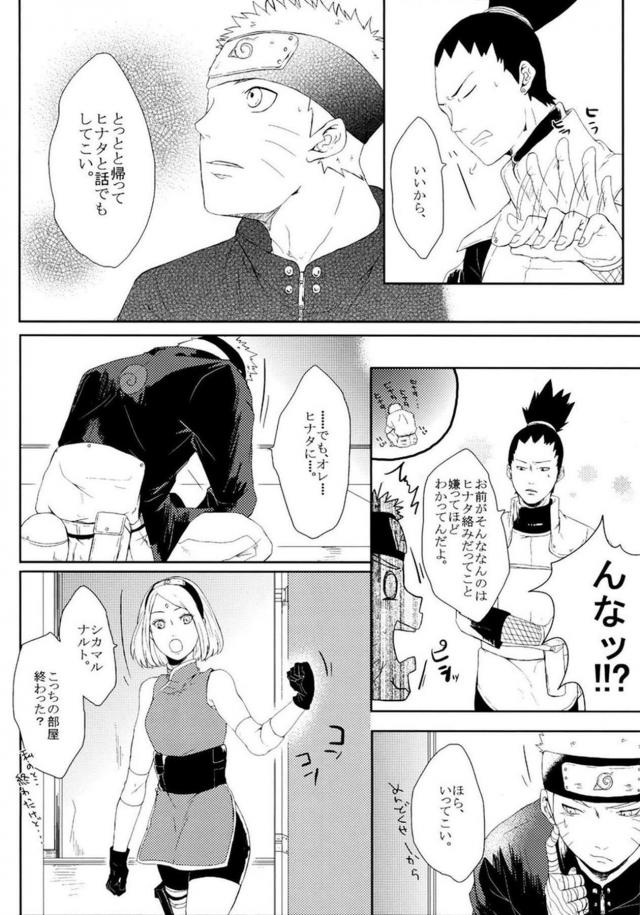 [中編]描き下ろし含む8本立て[ナルヒナ純愛] <> 029