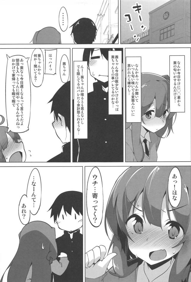 姉とビッチ妹でおまんこサンド姉妹丼 <> 008