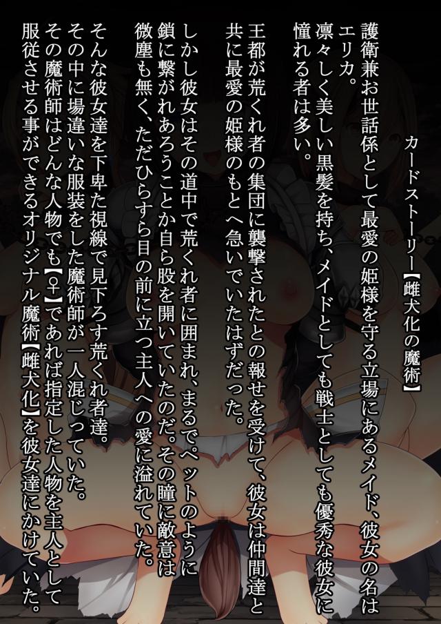 カードストーリー彼女たちの受難 <> 060