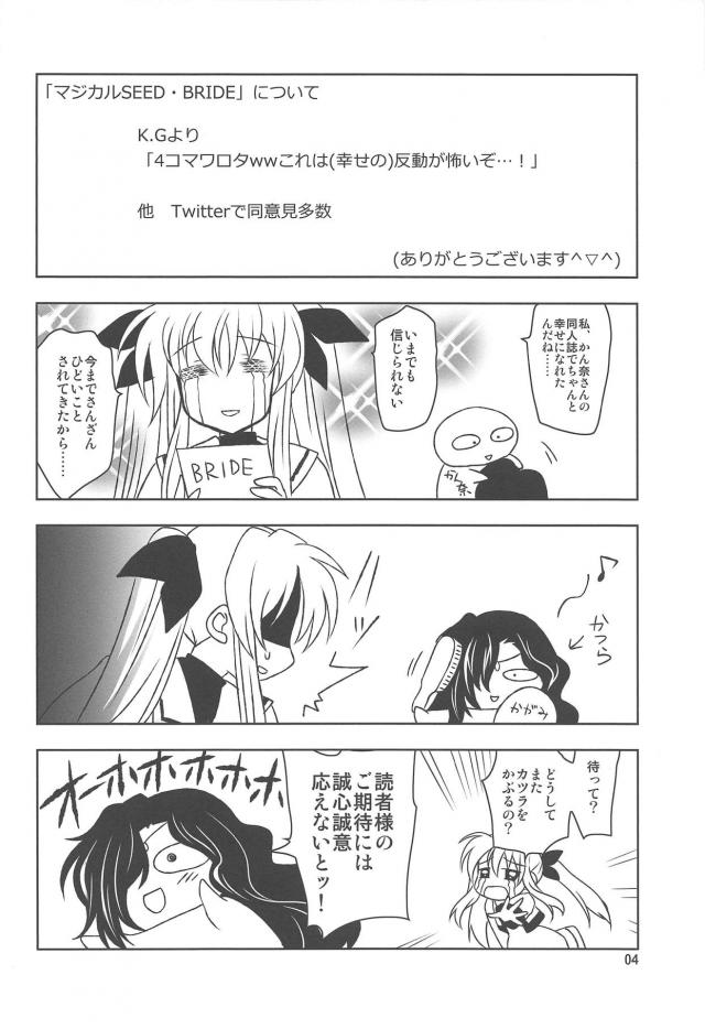 フェイトの誠意 <> 003