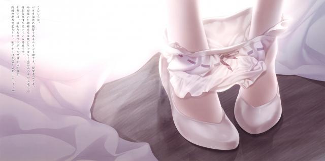 ウェディングドレス姿の美麗花嫁たち <> 002