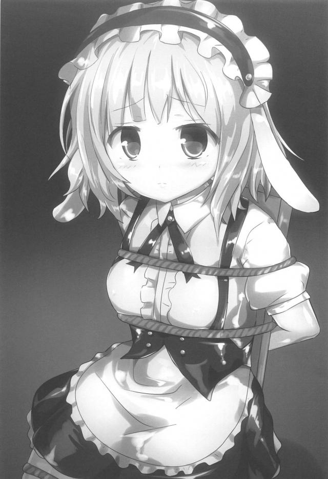 全身タイツ＆ギャグボール拘束でSMレズ責めされるシャロ <> 016
