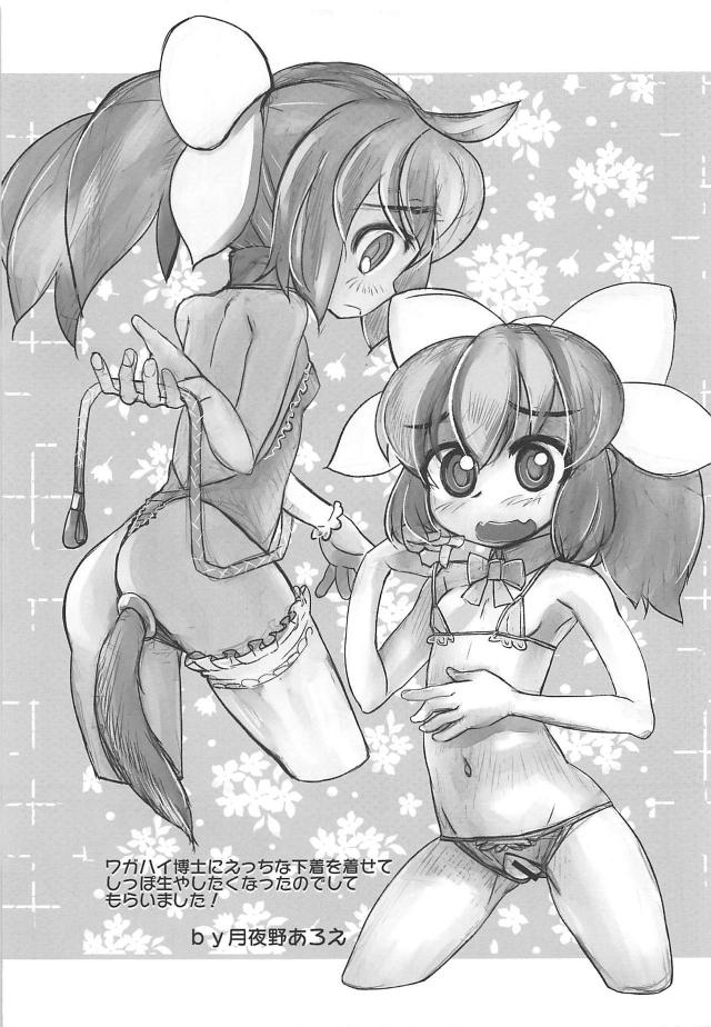 スケスケライトでおまんこ丸見え！？断面図見ながらロリっ娘に生中出し <> 020