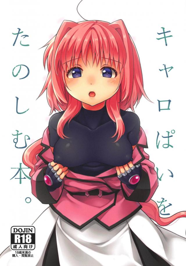 ぺちゃちっぱいから母乳巨乳まで色々なおっぱいを楽しむ本 <> 1