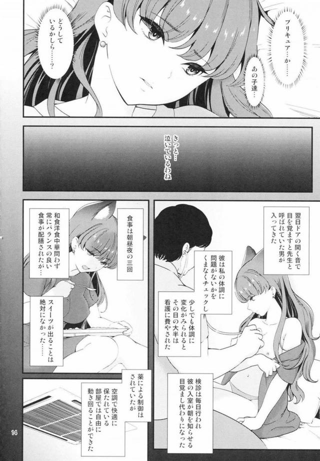 屈強な肉棒にキュアマカロンが堕ちる性奴隷本 <> 013