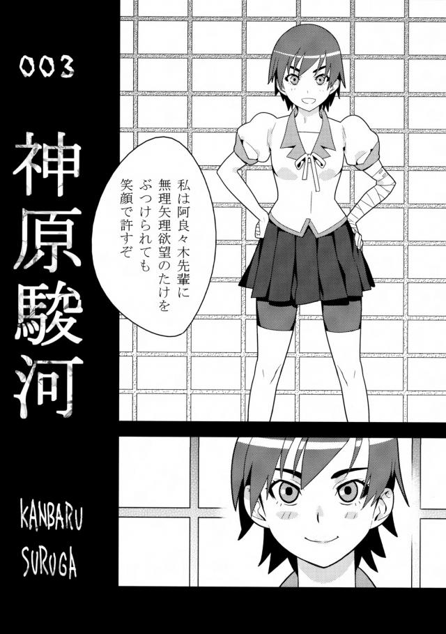 羽川・八九寺・神原との短編三本立て <> 009