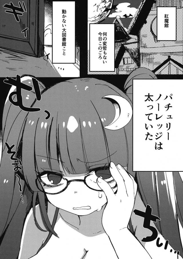 チャラ男のチャーシューチンポ召し上がれ♪デブパチェの肉厚マンコに生中出し！ <> 004
