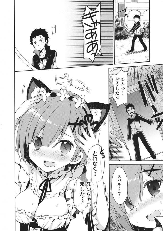 レムラム3P・発情猫レム・嫁レムなどレムづくしの総集編 <> 021