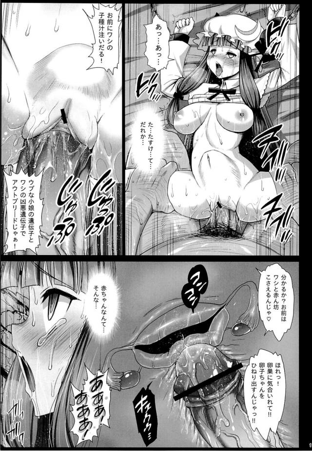 とりあえずパチュリ─拉致ってレイプ！極太チンポで膣穴変形！鬼畜失神！ <> 012